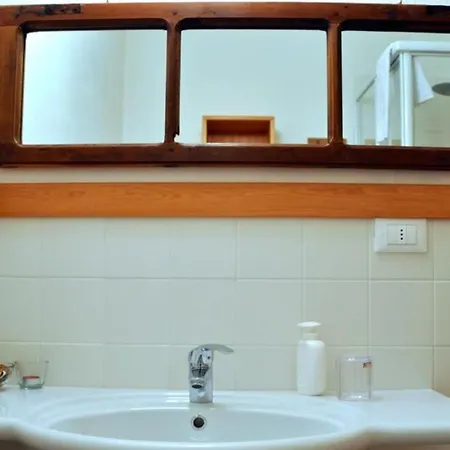 Einzimmerwohnung Katze In Gignod By Interhome * Gignod