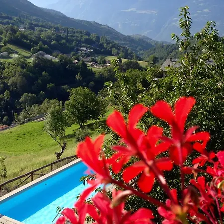 Lejlighed Einzimmerwohnung Katze In Gignod By Interhome Gignod