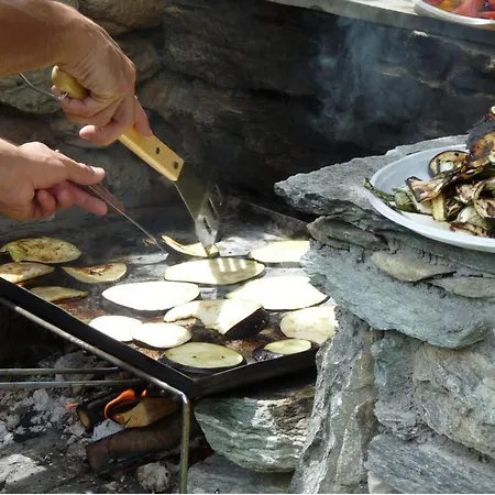 아파트 Einzimmerwohnung Katze In Gignod By Interhome *