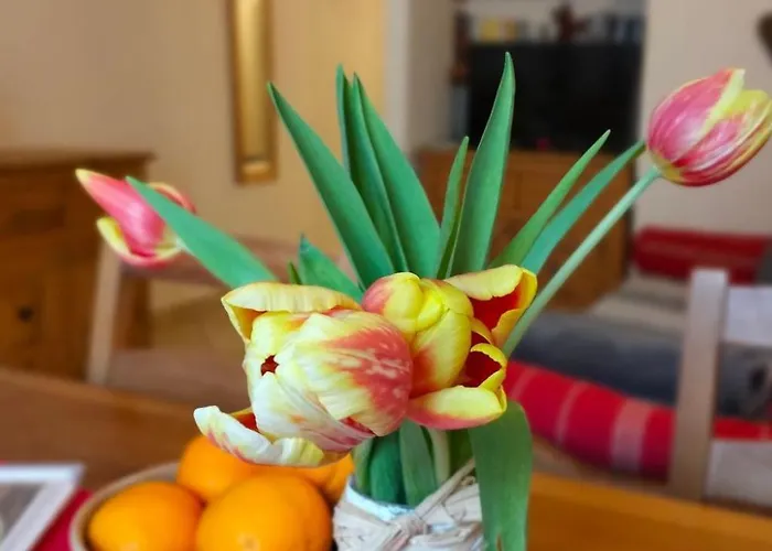 Einzimmerwohnung Katze In Gignod By Interhome Lejlighed Gignod