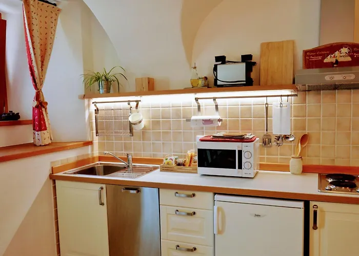 Einzimmerwohnung Katze In Gignod By Interhome