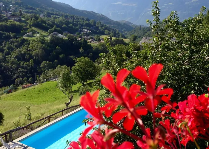 Lejlighed Einzimmerwohnung Katze In Gignod By Interhome Gignod