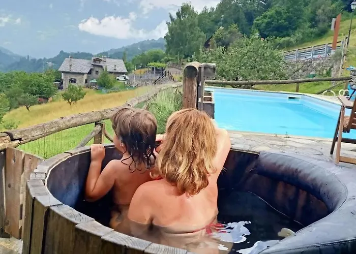 Einzimmerwohnung Katze In Gignod By Interhome * Gignod