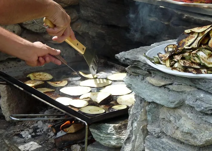 아파트 Einzimmerwohnung Katze In Gignod By Interhome *